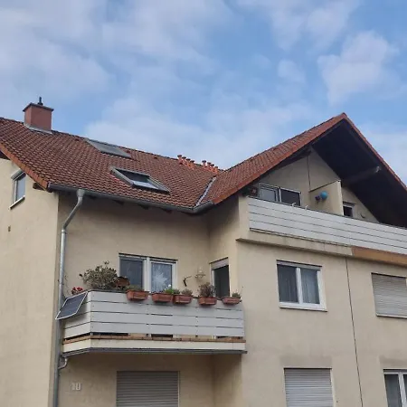 Sandra Хостел Хоккенхайм